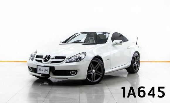 Buy Used Mercedes-Benz SLK-klasse White Car in Bangkok in Bangkok Buy Used Mercedes-Benz SLK-klasse White Car in Bangkok in Bangkok