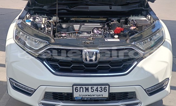Buy Used Honda CR-V White Car in Chiang Rai in Chiang Rai Buy Used Honda CR-V White Car in Chiang Rai in Chiang Rai