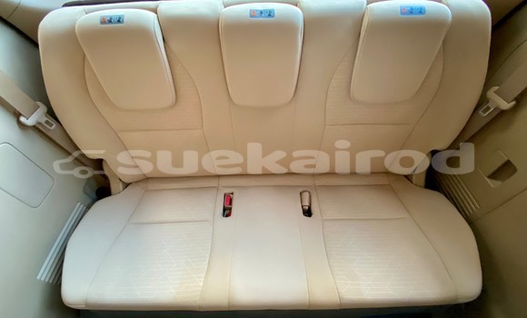 Buy Used Kia Carnival Black Car in Bangkok in Bangkok Buy Used Kia Carnival Black Car in Bangkok in Bangkok