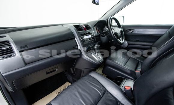 Buy Used Honda CR-V Other Car in Bangkok in Bangkok Buy Used Honda CR-V Other Car in Bangkok in Bangkok