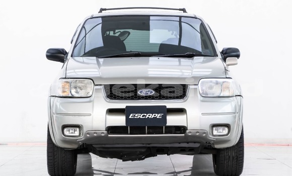 ซื้อ รถมือสอง Ford Escape อื่น ๆ รถยนต์ ใน %{เมือง} ใน กรุงเทพมหานคร ซื้อ รถมือสอง Ford Escape อื่น ๆ รถยนต์ ใน %{เมือง} ใน กรุงเทพมหานคร