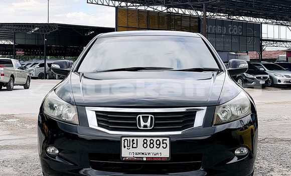 Buy Used Honda Accord Black Car in Bangkok in Bangkok