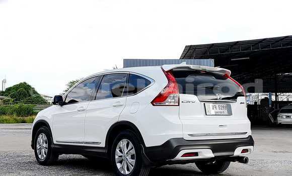 ซื้อ รถมือสอง Honda CR-V ขาว รถยนต์ ใน %{เมือง} ใน กรุงเทพมหานคร ซื้อ รถมือสอง Honda CR-V ขาว รถยนต์ ใน %{เมือง} ใน กรุงเทพมหานคร