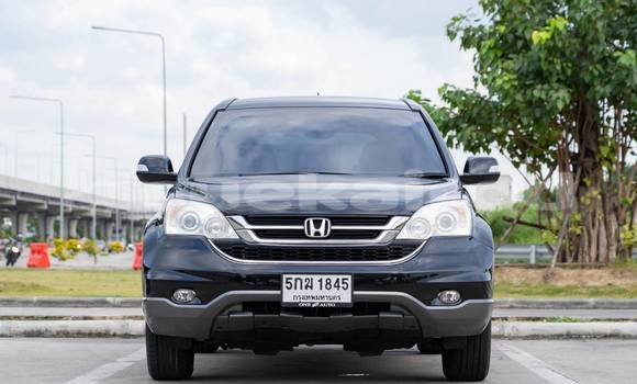 Buy Used Honda CR–V Black Car in Bangkok in Bangkok