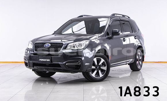 ซื้อ รถมือสอง Subaru Forester อื่น ๆ รถยนต์ ใน %{เมือง} ใน กรุงเทพมหานคร ซื้อ รถมือสอง Subaru Forester อื่น ๆ รถยนต์ ใน %{เมือง} ใน กรุงเทพมหานคร