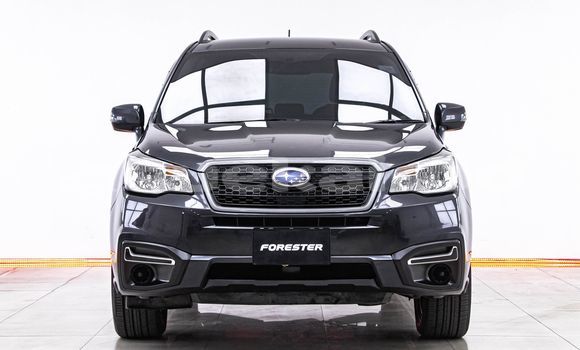 ซื้อ รถมือสอง Subaru Forester อื่น ๆ รถยนต์ ใน %{เมือง} ใน กรุงเทพมหานคร ซื้อ รถมือสอง Subaru Forester อื่น ๆ รถยนต์ ใน %{เมือง} ใน กรุงเทพมหานคร
