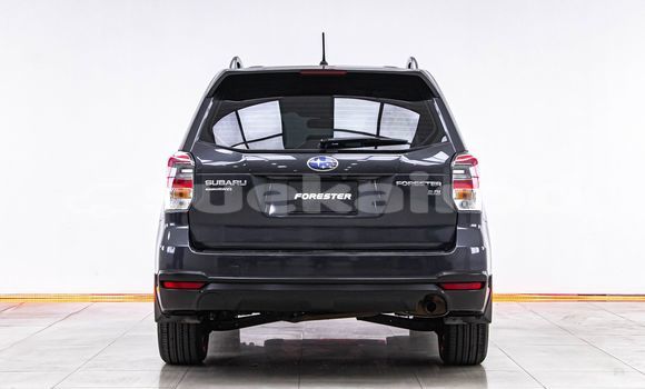 ซื้อ รถมือสอง Subaru Forester อื่น ๆ รถยนต์ ใน %{เมือง} ใน กรุงเทพมหานคร ซื้อ รถมือสอง Subaru Forester อื่น ๆ รถยนต์ ใน %{เมือง} ใน กรุงเทพมหานคร