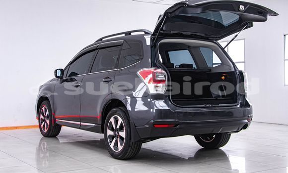ซื้อ รถมือสอง Subaru Forester อื่น ๆ รถยนต์ ใน %{เมือง} ใน กรุงเทพมหานคร ซื้อ รถมือสอง Subaru Forester อื่น ๆ รถยนต์ ใน %{เมือง} ใน กรุงเทพมหานคร