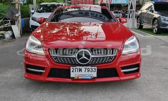 ซื้อ รถมือสอง Mercedes-Benz SLK-klasse AMG สีแดง รถยนต์ ใน %{เมือง} ใน กรุงเทพมหานคร ซื้อ รถมือสอง Mercedes-Benz SLK-klasse AMG สีแดง รถยนต์ ใน %{เมือง} ใน กรุงเทพมหานคร