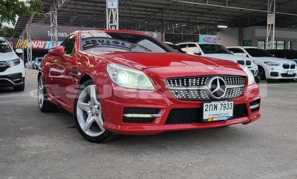 ซื้อ รถมือสอง Mercedes-Benz SLK-klasse AMG สีแดง รถยนต์ ใน %{เมือง} ใน กรุงเทพมหานคร ซื้อ รถมือสอง Mercedes-Benz SLK-klasse AMG สีแดง รถยนต์ ใน %{เมือง} ใน กรุงเทพมหานคร