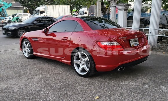 ซื้อ รถมือสอง Mercedes-Benz SLK-klasse AMG สีแดง รถยนต์ ใน %{เมือง} ใน กรุงเทพมหานคร ซื้อ รถมือสอง Mercedes-Benz SLK-klasse AMG สีแดง รถยนต์ ใน %{เมือง} ใน กรุงเทพมหานคร