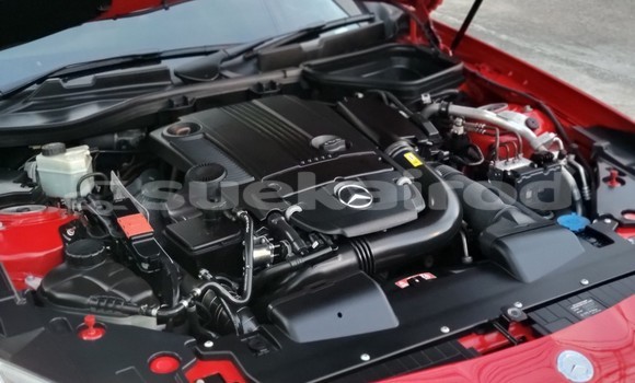 ซื้อ รถมือสอง Mercedes-Benz SLK-klasse AMG สีแดง รถยนต์ ใน %{เมือง} ใน กรุงเทพมหานคร ซื้อ รถมือสอง Mercedes-Benz SLK-klasse AMG สีแดง รถยนต์ ใน %{เมือง} ใน กรุงเทพมหานคร