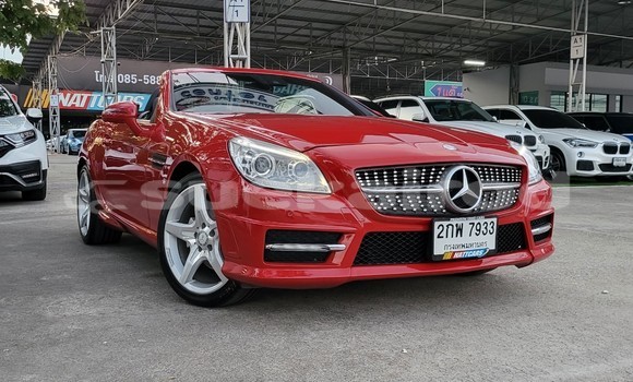 ซื้อ รถมือสอง Mercedes-Benz SLK-klasse AMG สีแดง รถยนต์ ใน %{เมือง} ใน กรุงเทพมหานคร ซื้อ รถมือสอง Mercedes-Benz SLK-klasse AMG สีแดง รถยนต์ ใน %{เมือง} ใน กรุงเทพมหานคร