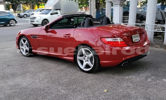 ซื้อ รถมือสอง Mercedes-Benz SLK-klasse AMG สีแดง รถยนต์ ใน %{เมือง} ใน กรุงเทพมหานคร ซื้อ รถมือสอง Mercedes-Benz SLK-klasse AMG สีแดง รถยนต์ ใน %{เมือง} ใน กรุงเทพมหานคร