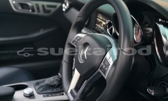 ซื้อ รถมือสอง Mercedes-Benz SLK-klasse AMG สีแดง รถยนต์ ใน %{เมือง} ใน กรุงเทพมหานคร ซื้อ รถมือสอง Mercedes-Benz SLK-klasse AMG สีแดง รถยนต์ ใน %{เมือง} ใน กรุงเทพมหานคร