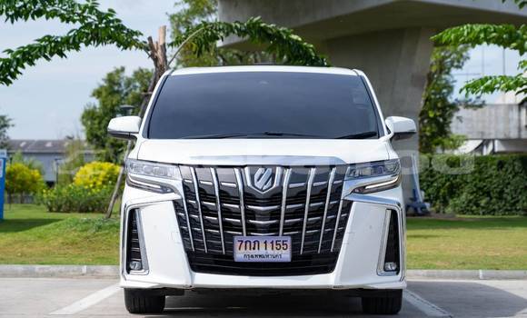 Buy Used Toyota Alphard White Car in Bangkok in Bangkok