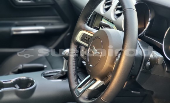 ซื้อ รถมือสอง FORD MUSTANG สีดำ รถยนต์ ใน %{เมือง} ใน กรุงเทพมหานคร ซื้อ รถมือสอง FORD MUSTANG สีดำ รถยนต์ ใน %{เมือง} ใน กรุงเทพมหานคร