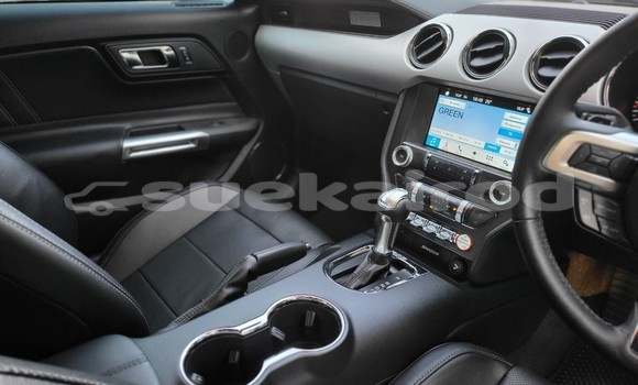 ซื้อ รถมือสอง FORD MUSTANG สีดำ รถยนต์ ใน %{เมือง} ใน กรุงเทพมหานคร ซื้อ รถมือสอง FORD MUSTANG สีดำ รถยนต์ ใน %{เมือง} ใน กรุงเทพมหานคร