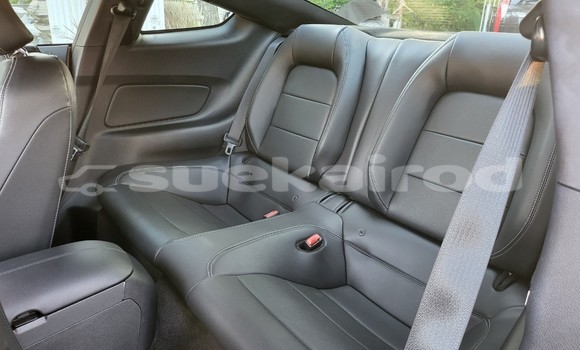 ซื้อ รถมือสอง FORD MUSTANG สีดำ รถยนต์ ใน %{เมือง} ใน กรุงเทพมหานคร ซื้อ รถมือสอง FORD MUSTANG สีดำ รถยนต์ ใน %{เมือง} ใน กรุงเทพมหานคร