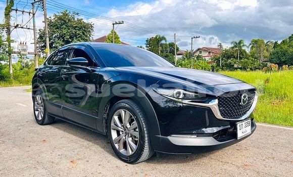 Buy Used Mazda CX-3 Black Car in Chiang Mai in Chiang Mai Buy Used Mazda CX-3 Black Car in Chiang Mai in Chiang Mai
