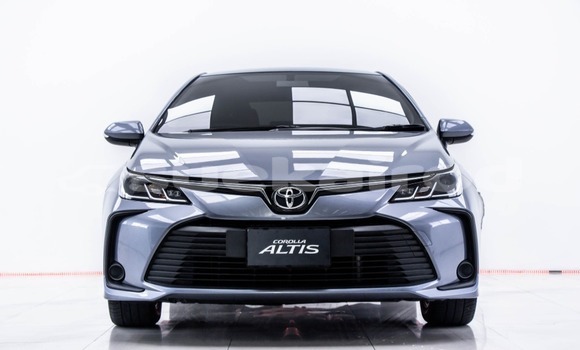 Buy Used Toyota Altis Other Car in Bangkok in Bangkok