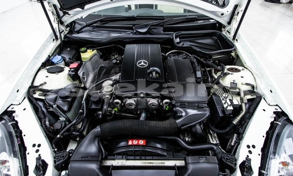 ซื้อ รถมือสอง Mercedes‒Benz SLK–Class ขาว รถยนต์ ใน %{เมือง} ใน กรุงเทพมหานคร ซื้อ รถมือสอง Mercedes‒Benz SLK–Class ขาว รถยนต์ ใน %{เมือง} ใน กรุงเทพมหานคร