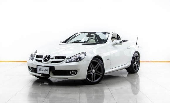 ซื้อ รถมือสอง Mercedes‒Benz SLK–Class ขาว รถยนต์ ใน %{เมือง} ใน กรุงเทพมหานคร ซื้อ รถมือสอง Mercedes‒Benz SLK–Class ขาว รถยนต์ ใน %{เมือง} ใน กรุงเทพมหานคร