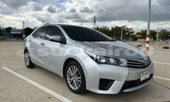 Buy Used Toyota Altis White Car in Bangkok in Bangkok