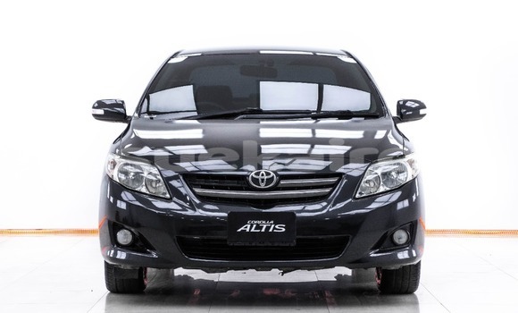 Buy Used Toyota Altis Black Car in Bangkok in Bangkok
