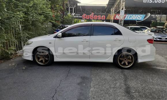 ซื้อ รถมือสอง Toyota Corolla Altis ขาว รถยนต์ ใน %{เมือง} ใน กรุงเทพมหานคร ซื้อ รถมือสอง Toyota Corolla Altis ขาว รถยนต์ ใน %{เมือง} ใน กรุงเทพมหานคร