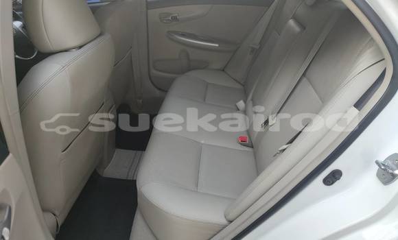 ซื้อ รถมือสอง Toyota Corolla Altis ขาว รถยนต์ ใน %{เมือง} ใน กรุงเทพมหานคร ซื้อ รถมือสอง Toyota Corolla Altis ขาว รถยนต์ ใน %{เมือง} ใน กรุงเทพมหานคร