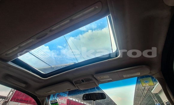 Buy Used Ford Escape Black Car in Bangkok in Bangkok Buy Used Ford Escape Black Car in Bangkok in Bangkok