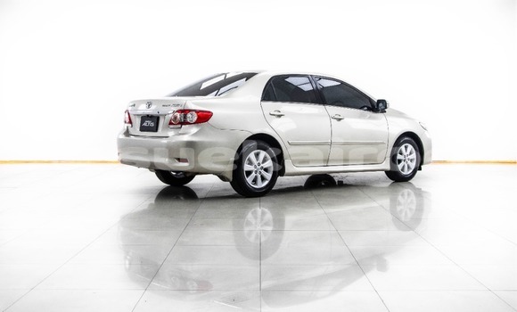 ซื้อ รถมือสอง Toyota Altis สีน้ำตาล รถยนต์ ใน %{เมือง} ใน กรุงเทพมหานคร ซื้อ รถมือสอง Toyota Altis สีน้ำตาล รถยนต์ ใน %{เมือง} ใน กรุงเทพมหานคร