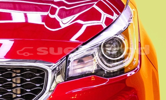 Buy Used MG 3 Red Car in Bangkok in Bangkok Buy Used MG 3 Red Car in Bangkok in Bangkok