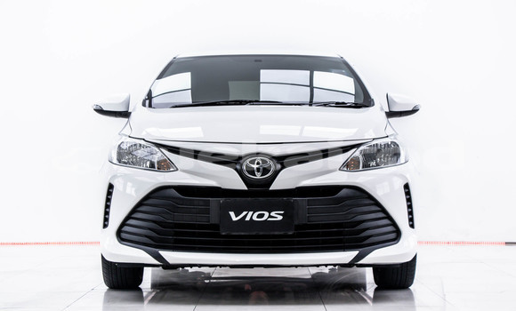 Buy Used Toyota Vios White Car in Bangkok in Bangkok Buy Used Toyota Vios White Car in Bangkok in Bangkok