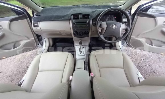 Buy Used Toyota Ractis Other Car in Bangkok in Bangkok