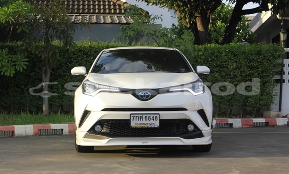 Buy Used Toyota C-HR White Car in Bangkok in Bangkok