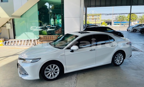 ซื้อ รถมือสอง Toyota Camry ขาว รถยนต์ ใน %{เมือง} ใน กรุงเทพมหานคร ซื้อ รถมือสอง Toyota Camry ขาว รถยนต์ ใน %{เมือง} ใน กรุงเทพมหานคร