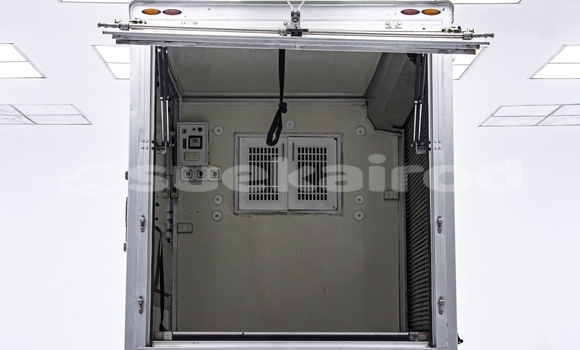 Buy Used Toyota Hiluxe Revo White Car in Bangkok in Bangkok Buy Used Toyota Hiluxe Revo White Car in Bangkok in Bangkok