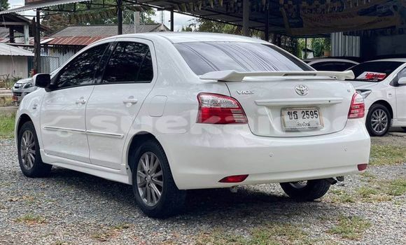 Buy Used Toyota Vios White Car in Bangkok in Bangkok Buy Used Toyota Vios White Car in Bangkok in Bangkok