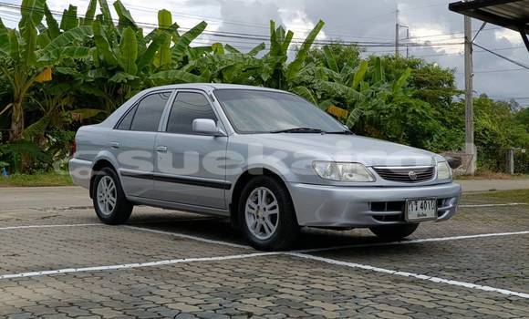 Buy Used Toyota Soluna Silver Car in Chiang Mai in Chiang Mai Buy Used Toyota Soluna Silver Car in Chiang Mai in Chiang Mai