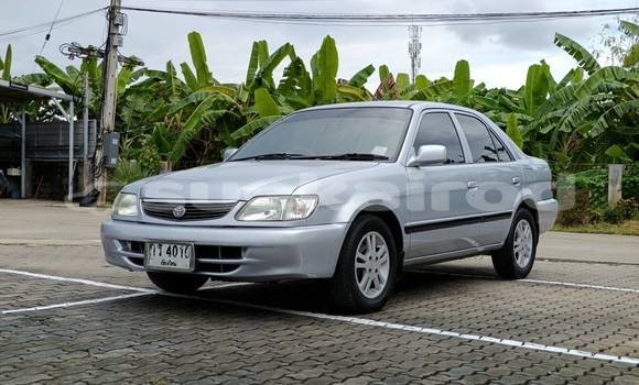 Buy Used Toyota Soluna Silver Car in Chiang Mai in Chiang Mai Buy Used Toyota Soluna Silver Car in Chiang Mai in Chiang Mai