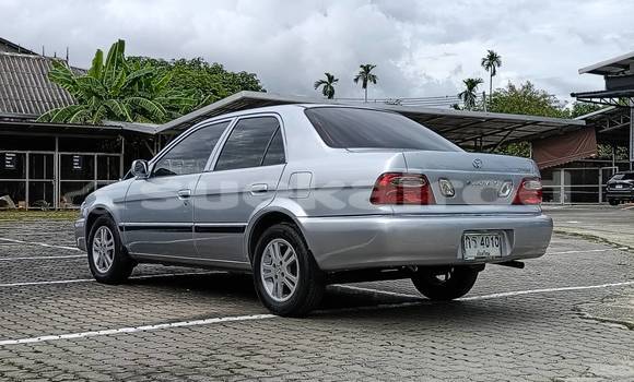 Buy Used Toyota Soluna Silver Car in Chiang Mai in Chiang Mai Buy Used Toyota Soluna Silver Car in Chiang Mai in Chiang Mai