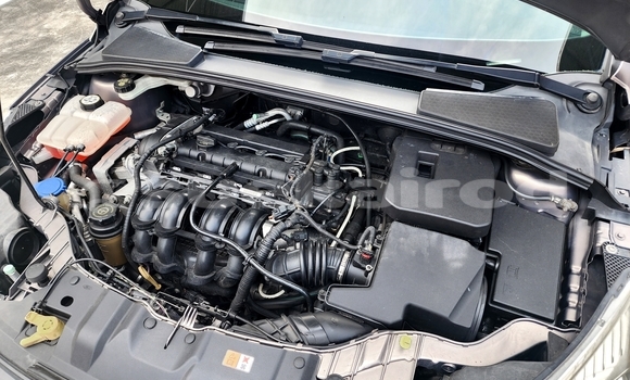 Buy Used Ford Focus Brown Car in Bangkok in Bangkok Buy Used Ford Focus Brown Car in Bangkok in Bangkok