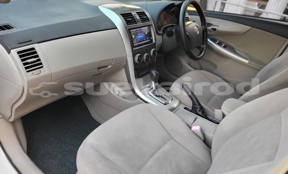 ซื้อ รถมือสอง Toyota Corolla Altis ขาว รถยนต์ ใน %{เมือง} ใน กรุงเทพมหานคร ซื้อ รถมือสอง Toyota Corolla Altis ขาว รถยนต์ ใน %{เมือง} ใน กรุงเทพมหานคร