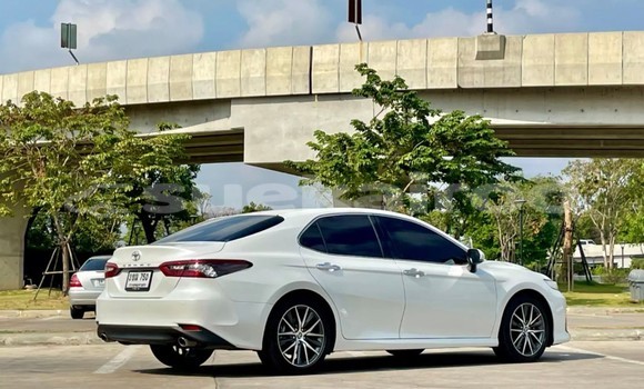 ซื้อ รถมือสอง Toyota Camry ขาว รถยนต์ ใน %{เมือง} ใน กรุงเทพมหานคร ซื้อ รถมือสอง Toyota Camry ขาว รถยนต์ ใน %{เมือง} ใน กรุงเทพมหานคร