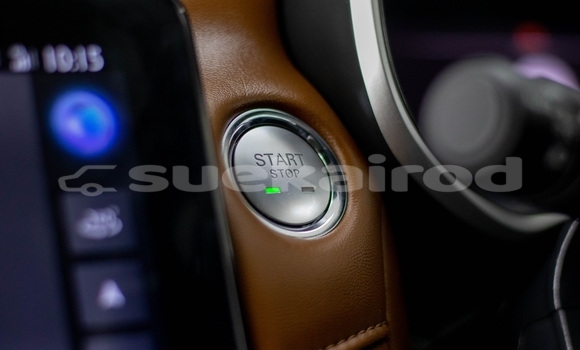 Buy Used MG ZS White Car in Samut Sakhon in Samut Sakhon Buy Used MG ZS White Car in Samut Sakhon in Samut Sakhon