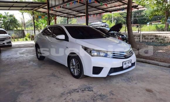 ซื้อ รถมือสอง Toyota Corolla ขาว รถยนต์ ใน %{เมือง} ใน กรุงเทพมหานคร ซื้อ รถมือสอง Toyota Corolla ขาว รถยนต์ ใน %{เมือง} ใน กรุงเทพมหานคร