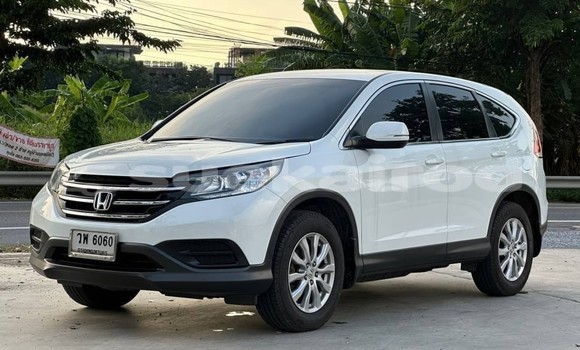 Buy Used Honda CR-V White Car in Bangkok in Bangkok