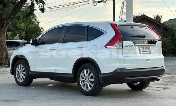 Buy Used Honda CR-V White Car in Bangkok in Bangkok Buy Used Honda CR-V White Car in Bangkok in Bangkok